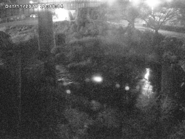 日野川１０2026/10/11 21:10:00