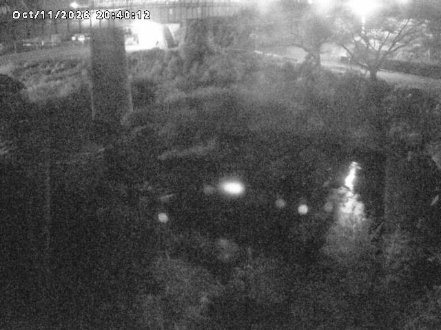 日野川１０2026/10/11 21:10:00