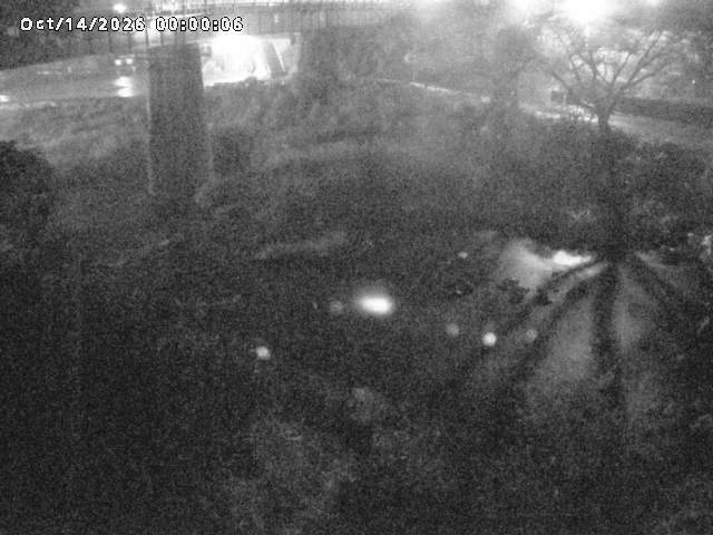 日野川１０2026/10/15 0:00:00