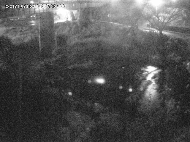 日野川１０2026/10/15 0:00:00