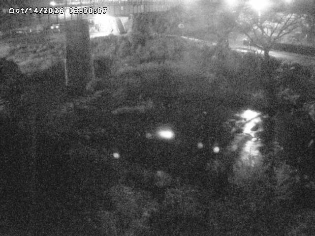日野川１０2026/10/15 0:00:00