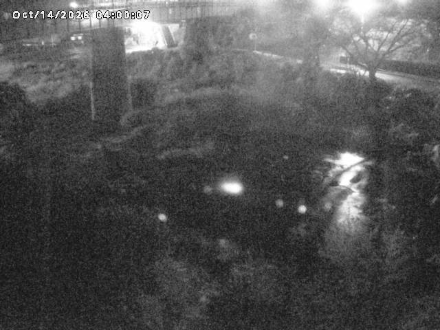 日野川１０2026/10/15 0:00:00