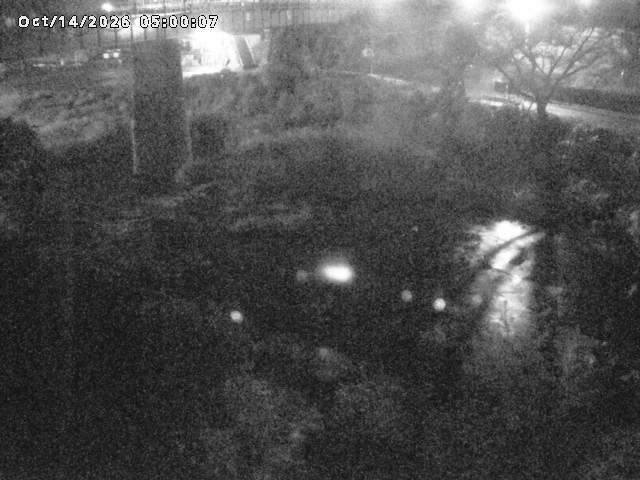 日野川１０2026/10/15 0:00:00
