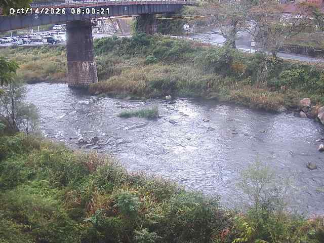 日野川１０2026/10/15 0:00:00