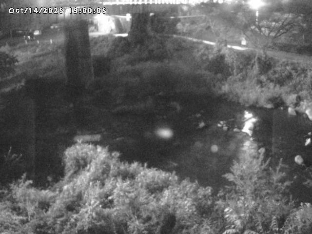 日野川１０2026/10/15 0:00:00