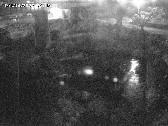 日野川１０2026/10/15 0:00:00