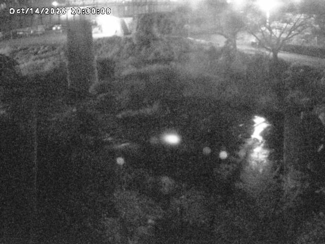 日野川１０2026/10/15 0:00:00