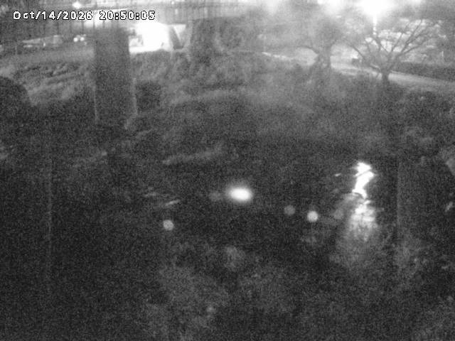 日野川１０2026/10/15 0:00:00