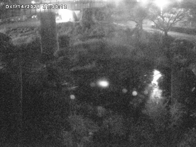 日野川１０2026/10/15 0:00:00