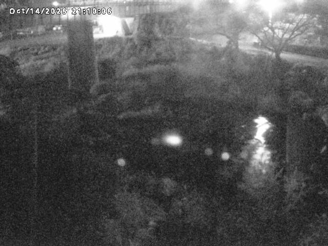 日野川１０2026/10/15 0:00:00