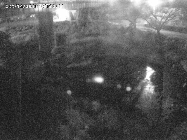 日野川１０2026/10/15 0:00:00