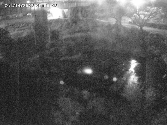 日野川１０2026/10/15 0:00:00