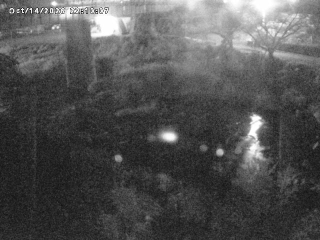 日野川１０2026/10/15 0:00:00