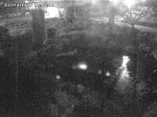 日野川１０2026/10/15 0:00:00