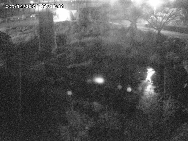 日野川１０2026/10/15 0:00:00