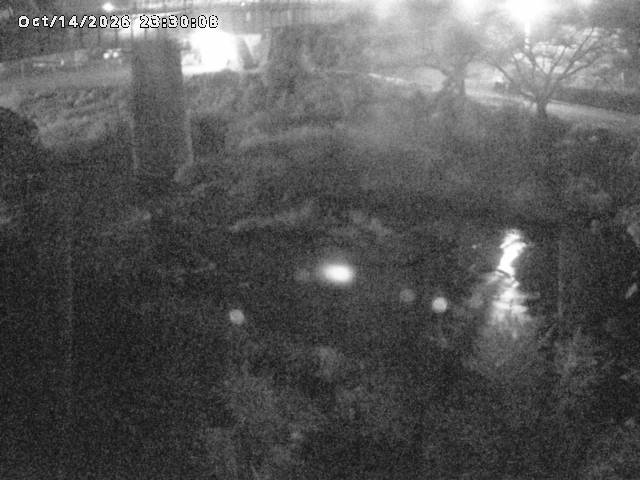 日野川１０2026/10/15 0:00:00