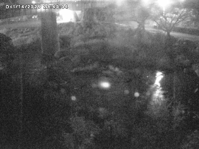 日野川１０2026/10/15 0:00:00