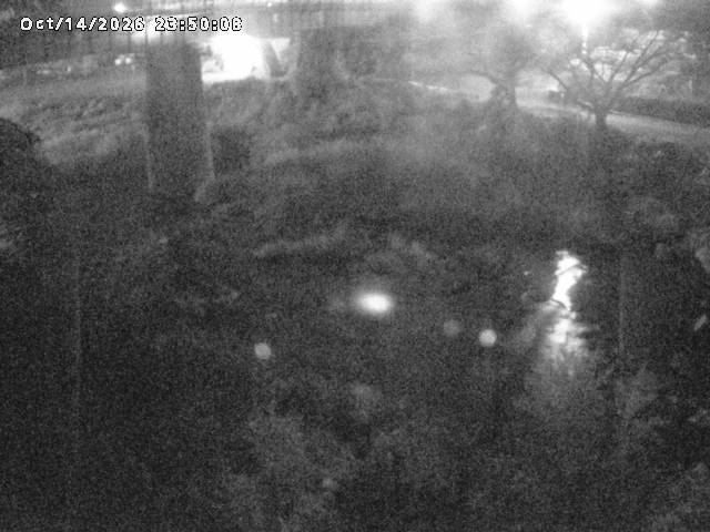 日野川１０2026/10/15 0:00:00