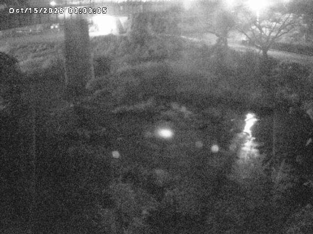 日野川１０2026/10/15 0:00:00