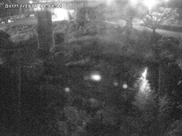 日野川１０2026/10/18 0:30:00