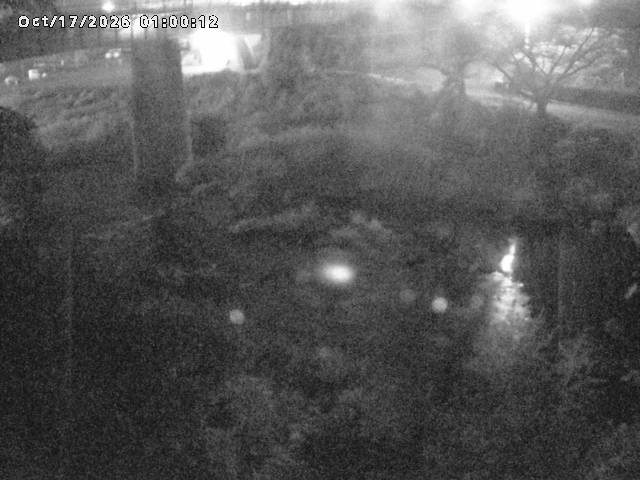 日野川１０2026/10/18 0:30:00
