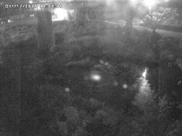 日野川１０2026/10/18 0:30:00