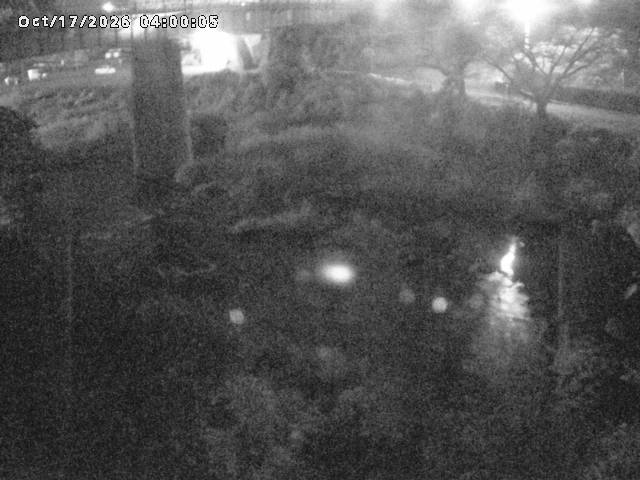 日野川１０2026/10/18 0:30:00