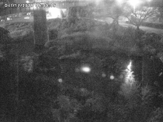 日野川１０2026/10/18 0:30:00