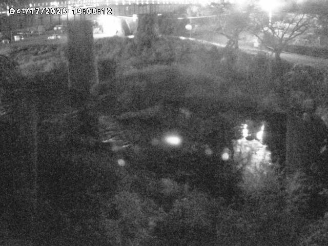 日野川１０2026/10/18 0:30:00