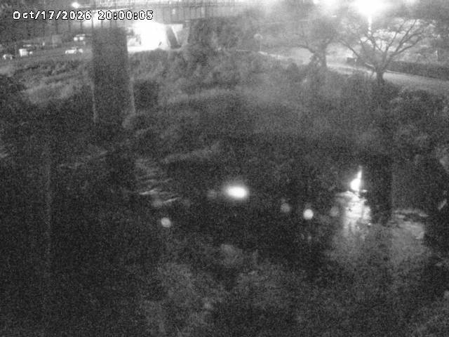 日野川１０2026/10/18 0:30:00