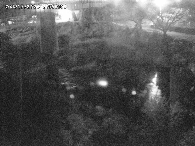 日野川１０2026/10/18 0:30:00