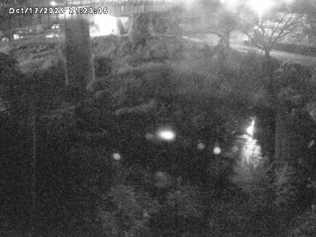日野川１０2026/10/18 0:30:00