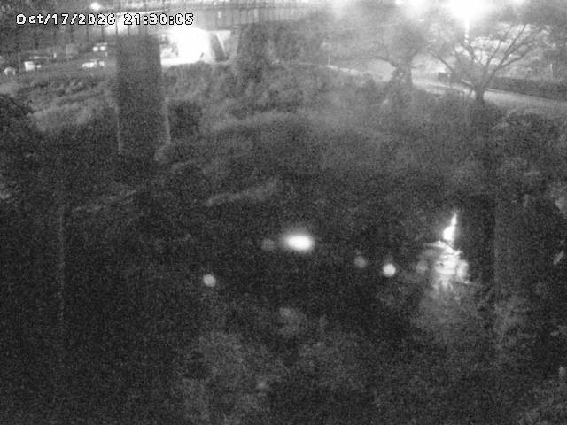 日野川１０2026/10/18 0:30:00