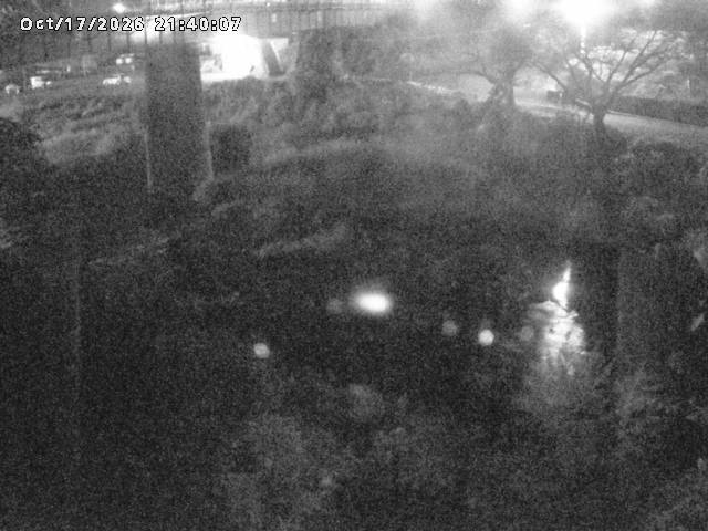 日野川１０2026/10/18 0:30:00