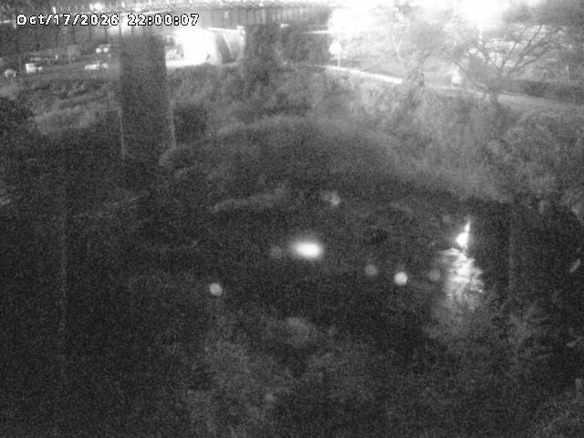 日野川１０2026/10/18 0:30:00