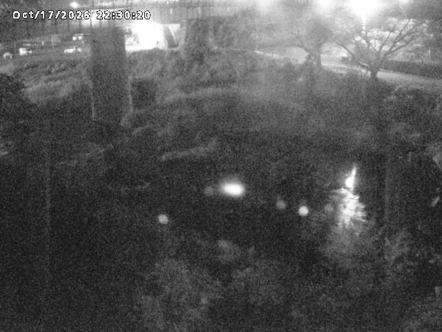 日野川１０2026/10/18 0:30:00