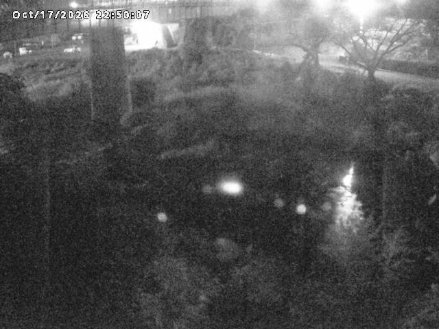 日野川１０2026/10/18 0:30:00
