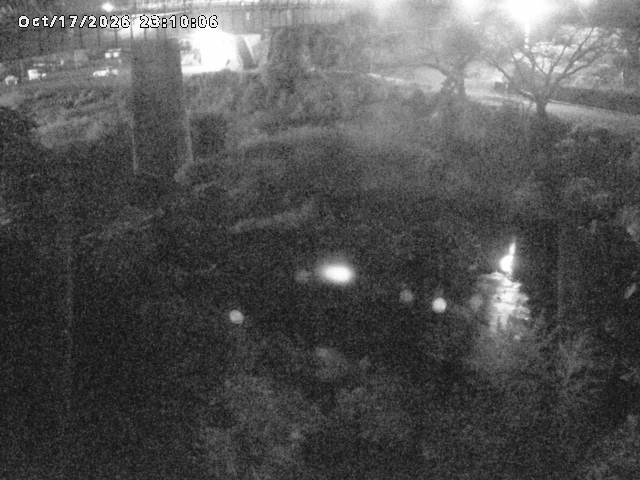 日野川１０2026/10/18 0:30:00