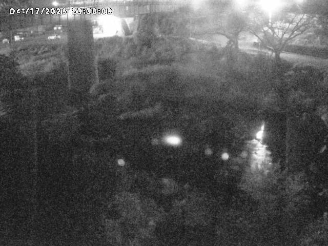 日野川１０2026/10/18 0:30:00