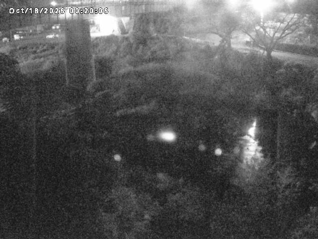 日野川１０2026/10/18 0:30:00