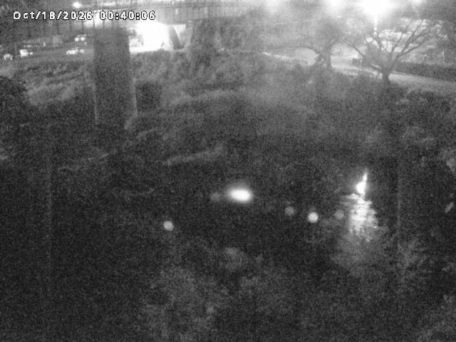 日野川１０2026/10/18 0:30:00