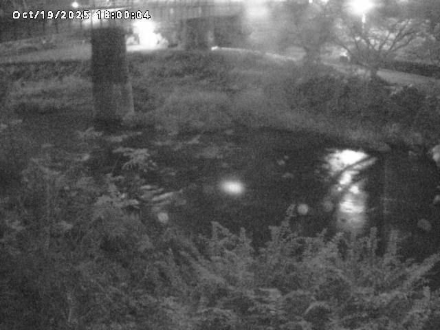 日野川１０2025/10/20 6:40:00