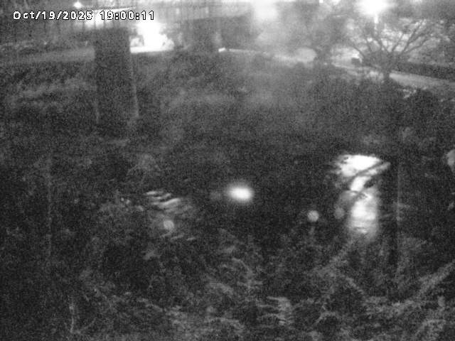 日野川１０2025/10/20 6:40:00
