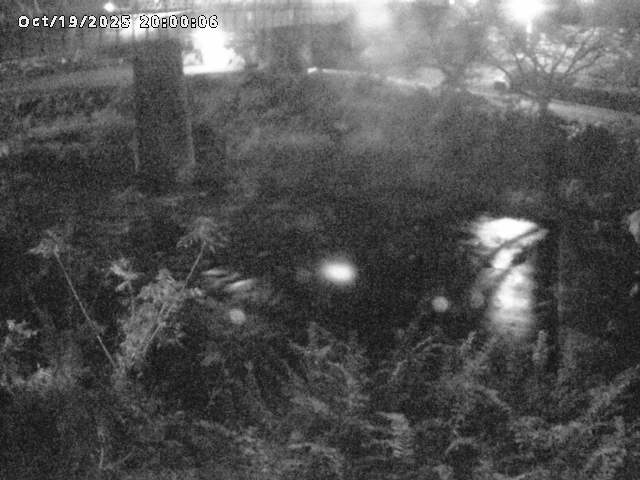 日野川１０2025/10/20 6:40:00