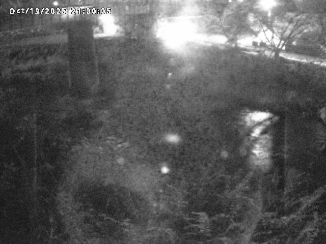 日野川１０2025/10/20 6:40:00