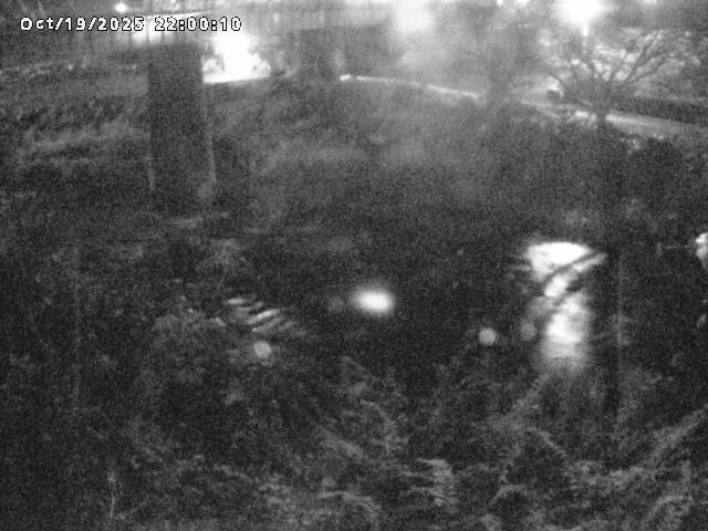 日野川１０2025/10/20 6:40:00