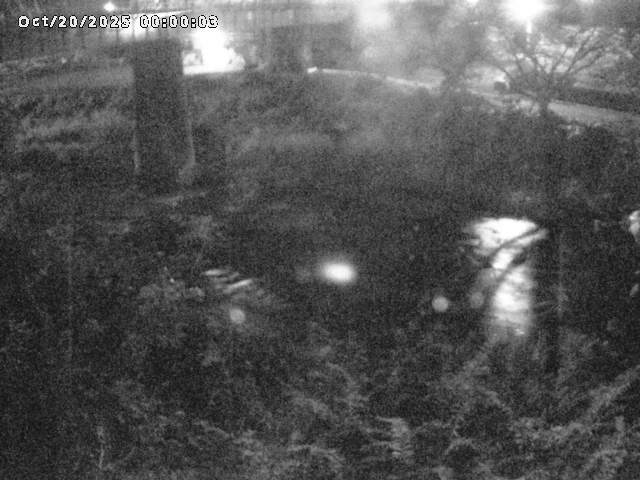 日野川１０2025/10/20 6:40:00