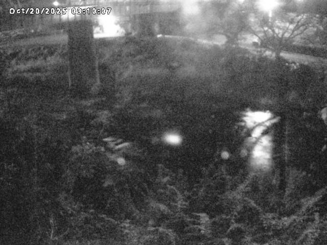 日野川１０2025/10/20 6:40:00