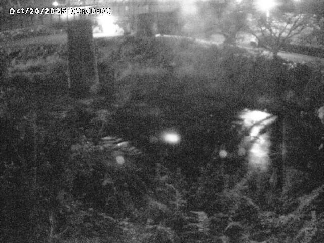 日野川１０2025/10/20 6:40:00