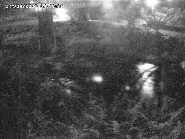 日野川１０2025/10/20 6:40:00